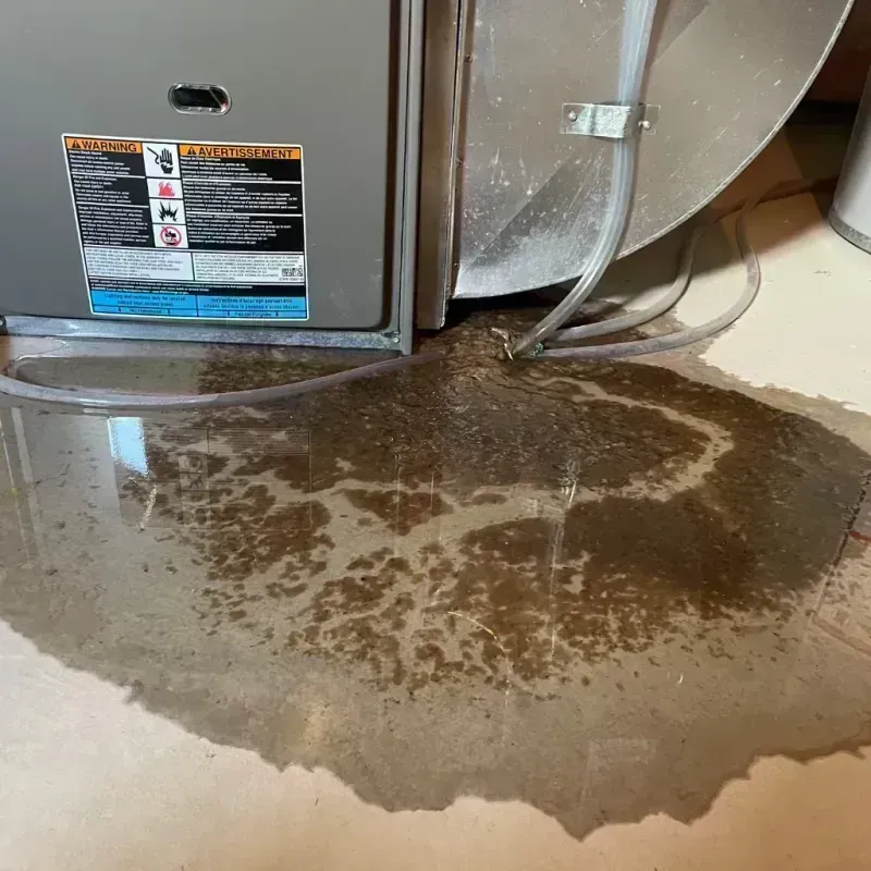 Appliance Leak Cleanup in Edwards, CO